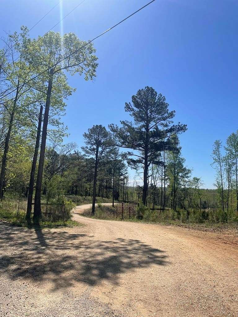 423 Acres of Land for Sale in Paris, Tennessee