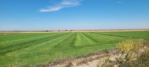 36.5 Acres of Agricultural Land for Sale in Big Springs, Nebraska