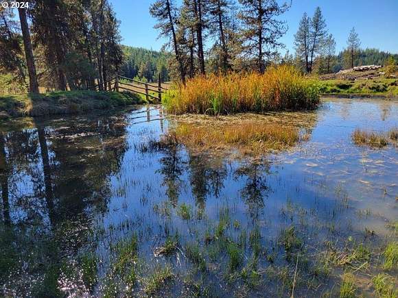 25 Acres of Recreational Land for Sale in Wallowa, Oregon