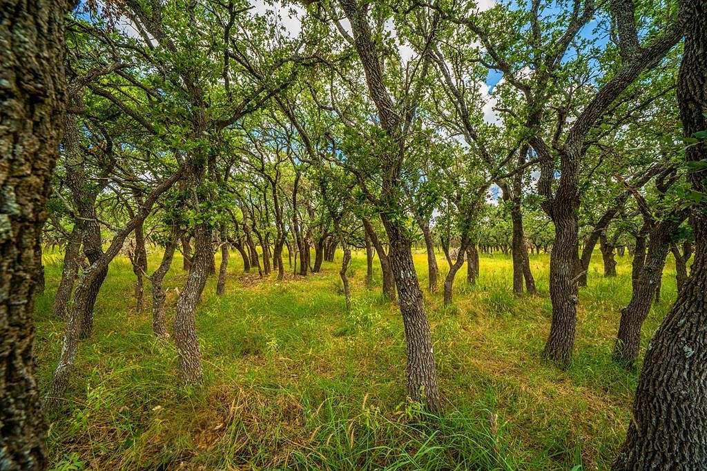 13.6 Acres of Recreational Land for Sale in Harper, Texas