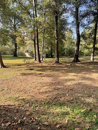 0.66 Acres of Residential Land for Sale in Carthage, Texas