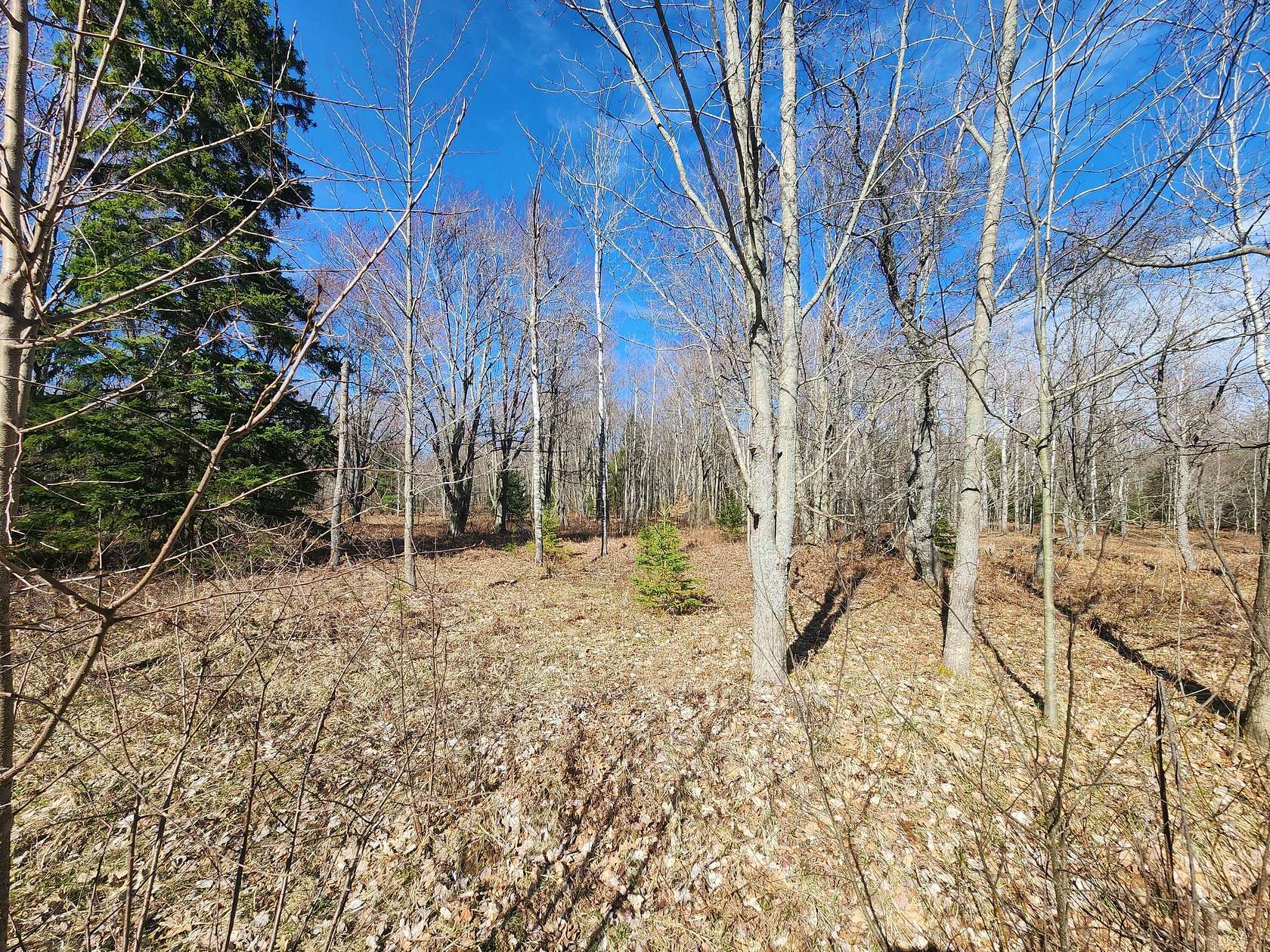 0.41 Acres of Residential Land for Sale in Gaylord, Michigan