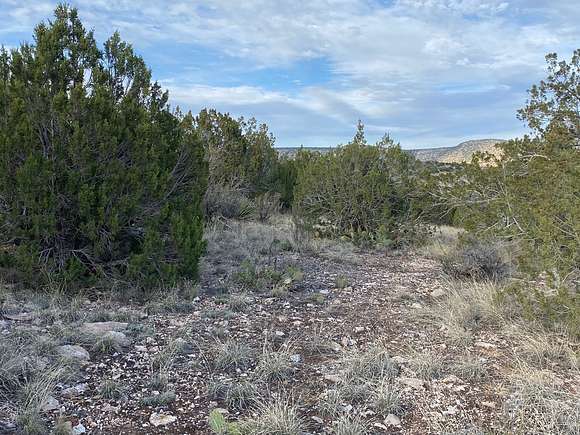 3.1 Acres of Recreational Land & Farm for Sale in Seligman, Arizona
