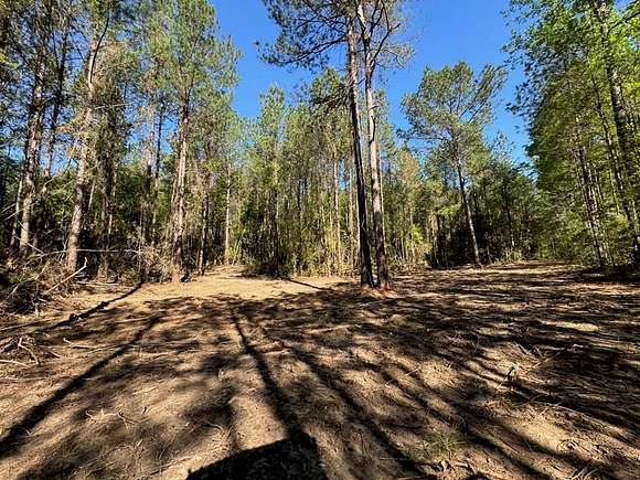 10 Acres of Land for Sale in Liberty, Mississippi