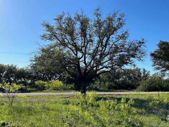 0.46 Acres of Residential Land for Sale in Brownwood, Texas