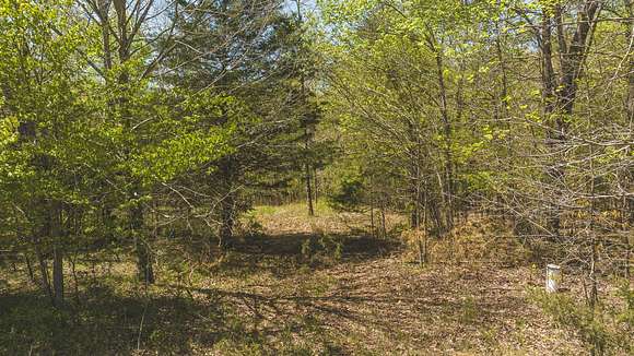 6.1 Acres of Land for Auction in Amherst, Virginia