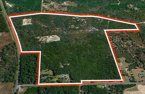 314 Acres of Land for Sale in Branford, Florida