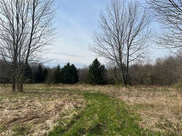 14 Acres of Recreational Land for Sale in Cortlandville Town, New York