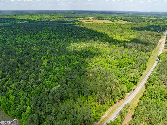 86.6 Acres of Recreational Land for Sale in Sparta, Georgia
