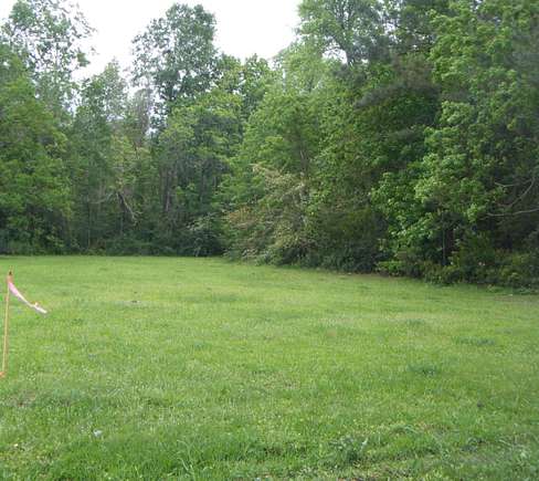 9.5 Acres of Residential Land for Sale in Kirbyville, Texas