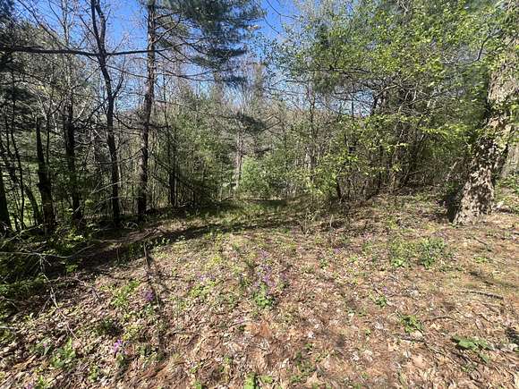 1.2 Acres of Residential Land for Sale in Bent Mountain, Virginia