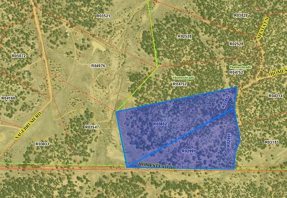 31.5 Acres of Recreational Land for Sale in Ramah, New Mexico