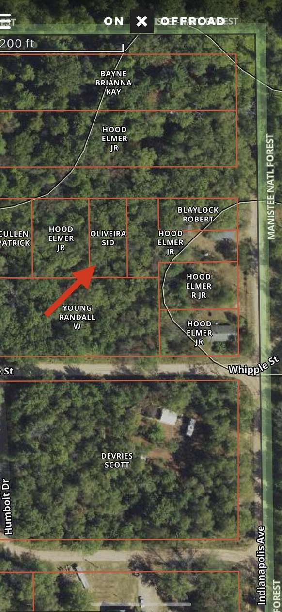 0.17 Acres of Land for Sale in Baldwin, Michigan
