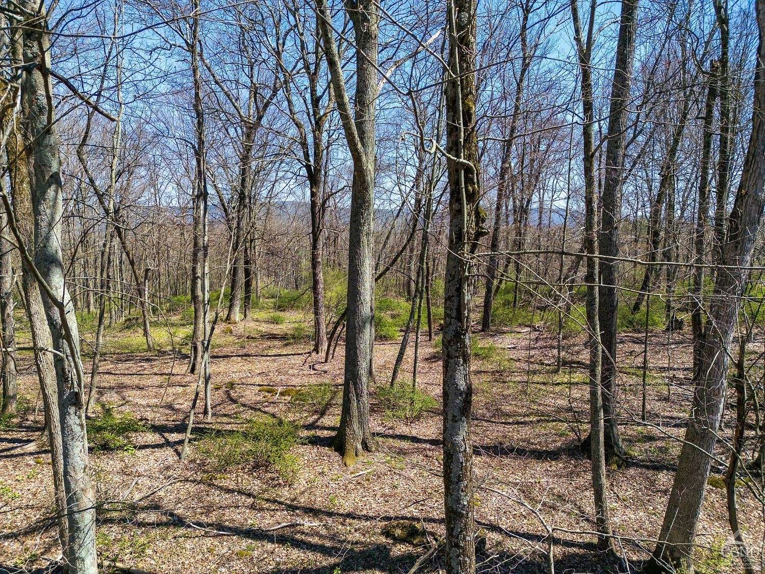 12.3 Acres of Land for Sale in Copake, New York