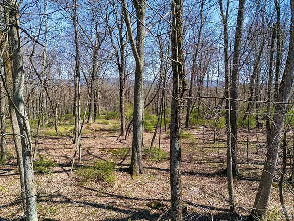 12.3 Acres of Land for Sale in Copake, New York
