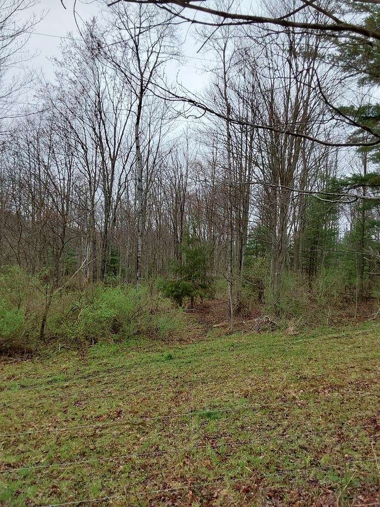 60 Acres of Recreational Land for Sale in Campbell, New York