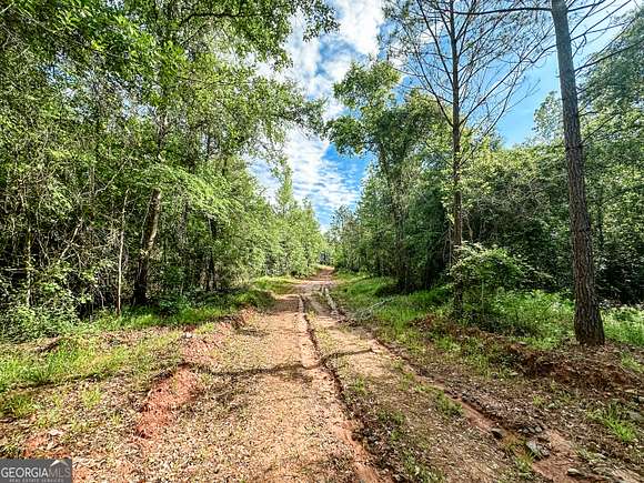50 Acres of Agricultural Land for Sale in Monticello, Georgia