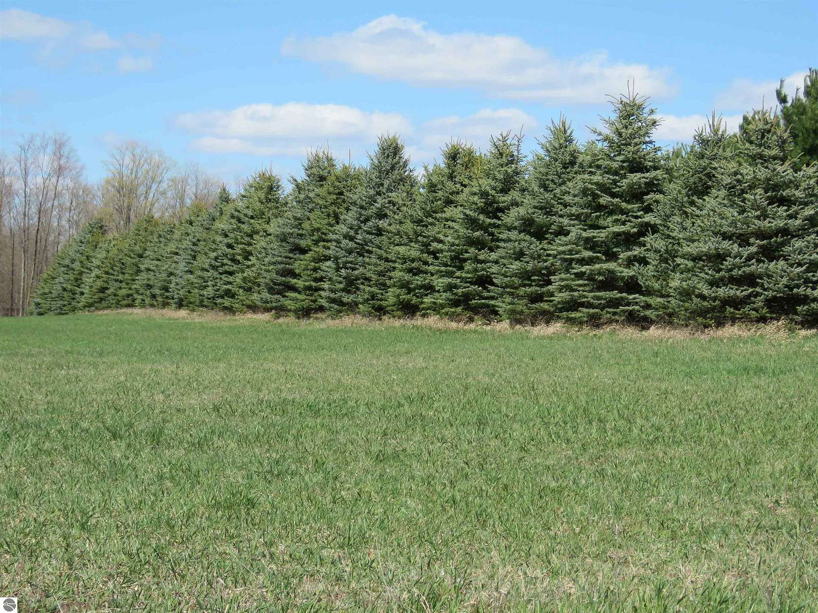 2 Acres of Land for Sale in Tustin, Michigan