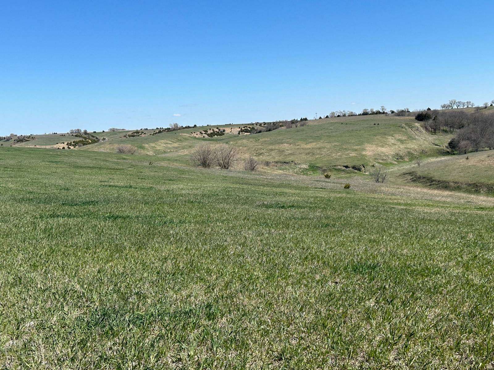 350 Acres of Recreational Land & Farm for Sale in St. Paul, Nebraska