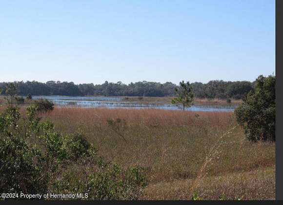 0.85 Acres of Residential Land for Sale in Weeki Wachee, Florida