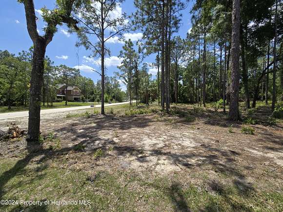 0.46 Acres of Residential Land for Sale in Weeki Wachee, Florida