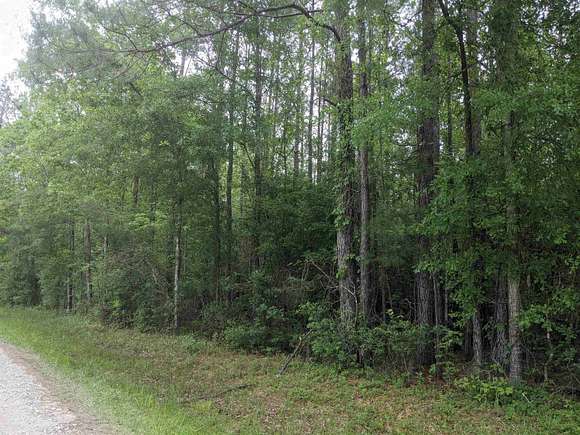 5 Acres of Residential Land for Sale in Buna, Texas