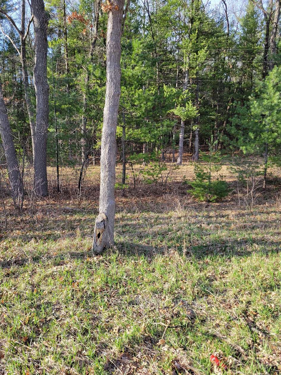 9.2 Acres of Residential Land for Sale in Manistee, Michigan