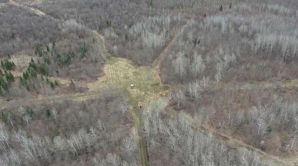 80 Acres of Recreational Land for Sale in Kennan, Wisconsin