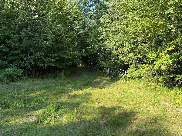 80 Acres of Recreational Land for Sale in Kennan, Wisconsin
