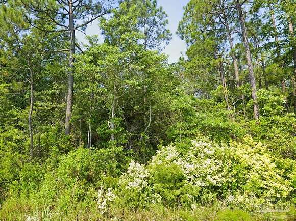 6.4 Acres of Land for Sale in Milton, Florida