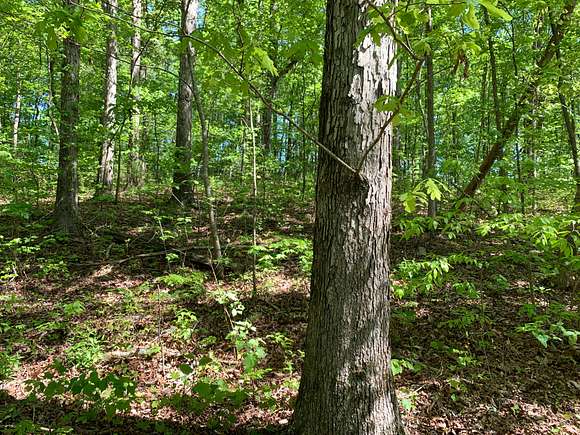 2 Acres of Land for Sale in Attalla, Alabama