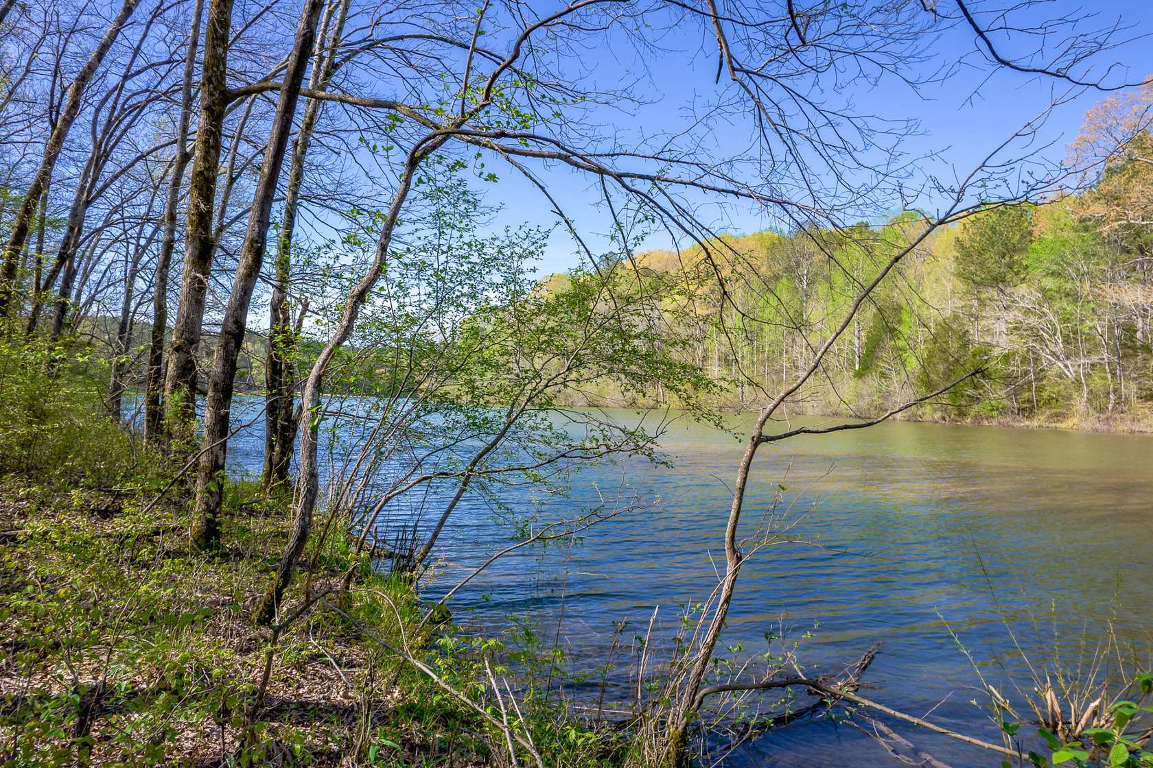 207 Acres of Recreational Land for Sale in Russellville, Alabama