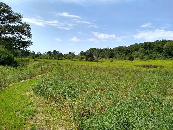 40 Acres of Recreational Land & Farm for Sale in Dodgeville, Wisconsin