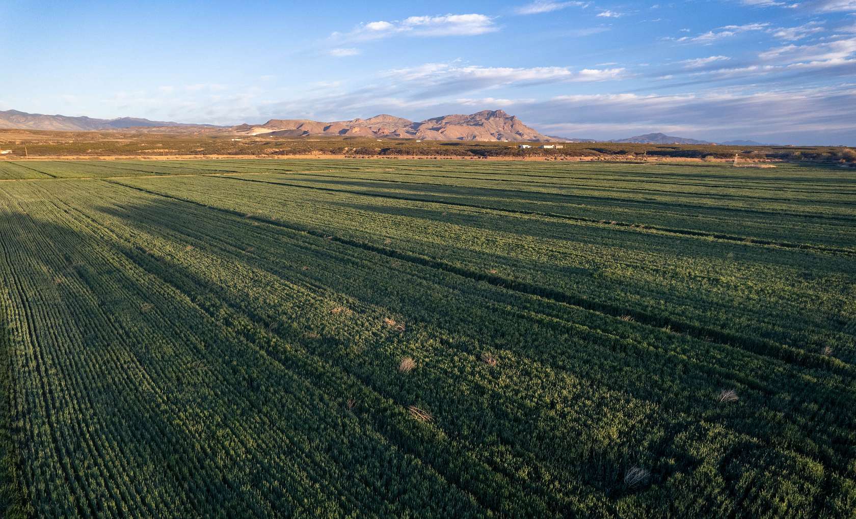 229 Acres of Land for Sale in Socorro, New Mexico