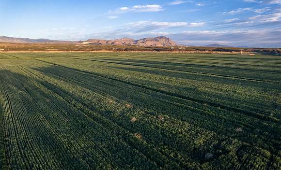 229 Acres of Land for Sale in Socorro, New Mexico