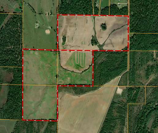 200 Acres of Recreational Land & Farm for Sale in Winnsboro, Louisiana