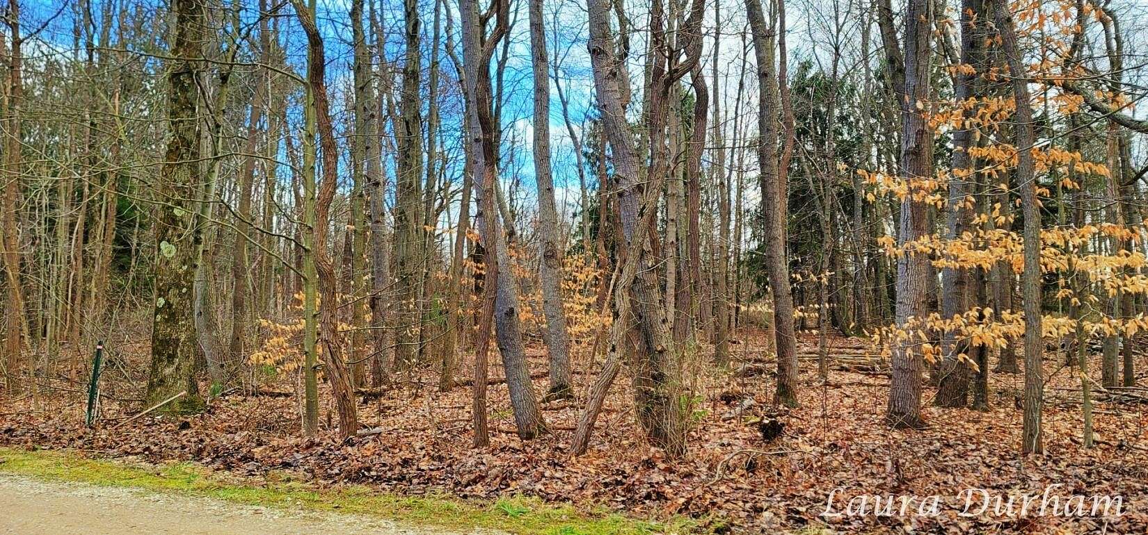2.6 Acres of Land for Sale in Fennville, Michigan
