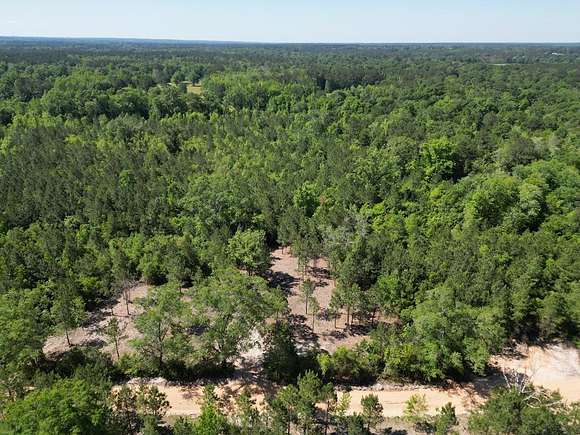 10.7 Acres of Land for Sale in Poplarville, Mississippi