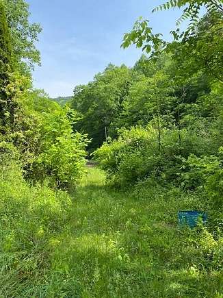 0.5 Acres of Residential Land for Sale in Harold, Kentucky