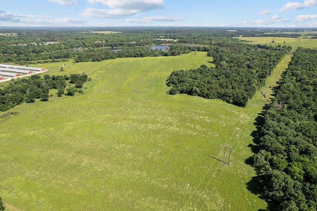 155 Acres of Recreational Land & Farm for Sale in Tennessee Colony, Texas