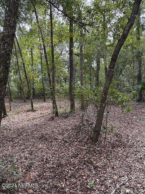 2.04 Acres of Residential Land with Home for Sale in Umatilla, Florida