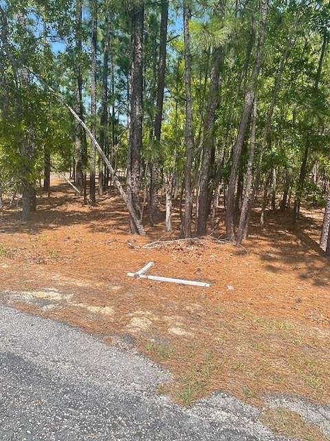 7.43 Acres of Residential Land for Sale in Rembert, South Carolina