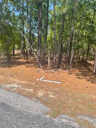 7.43 Acres of Residential Land for Sale in Rembert, South Carolina