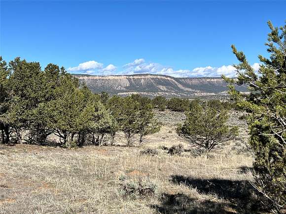 5.3 Acres of Residential Land for Sale in Tierra Amarilla, New Mexico