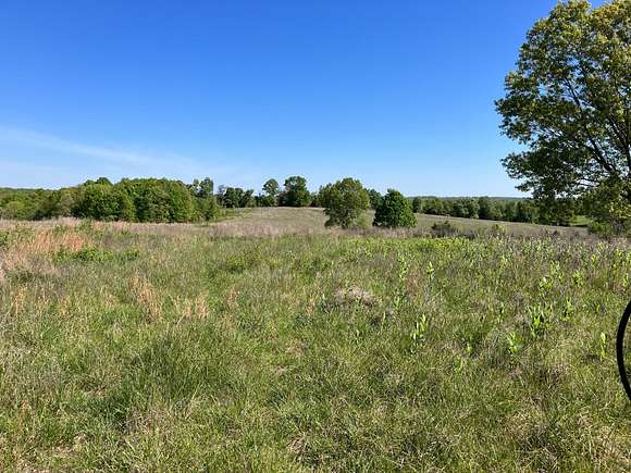 68 Acres of Agricultural Land with Home for Sale in Alton, Missouri