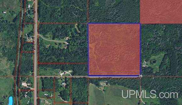 39 Acres of Land for Sale in Sagola, Michigan