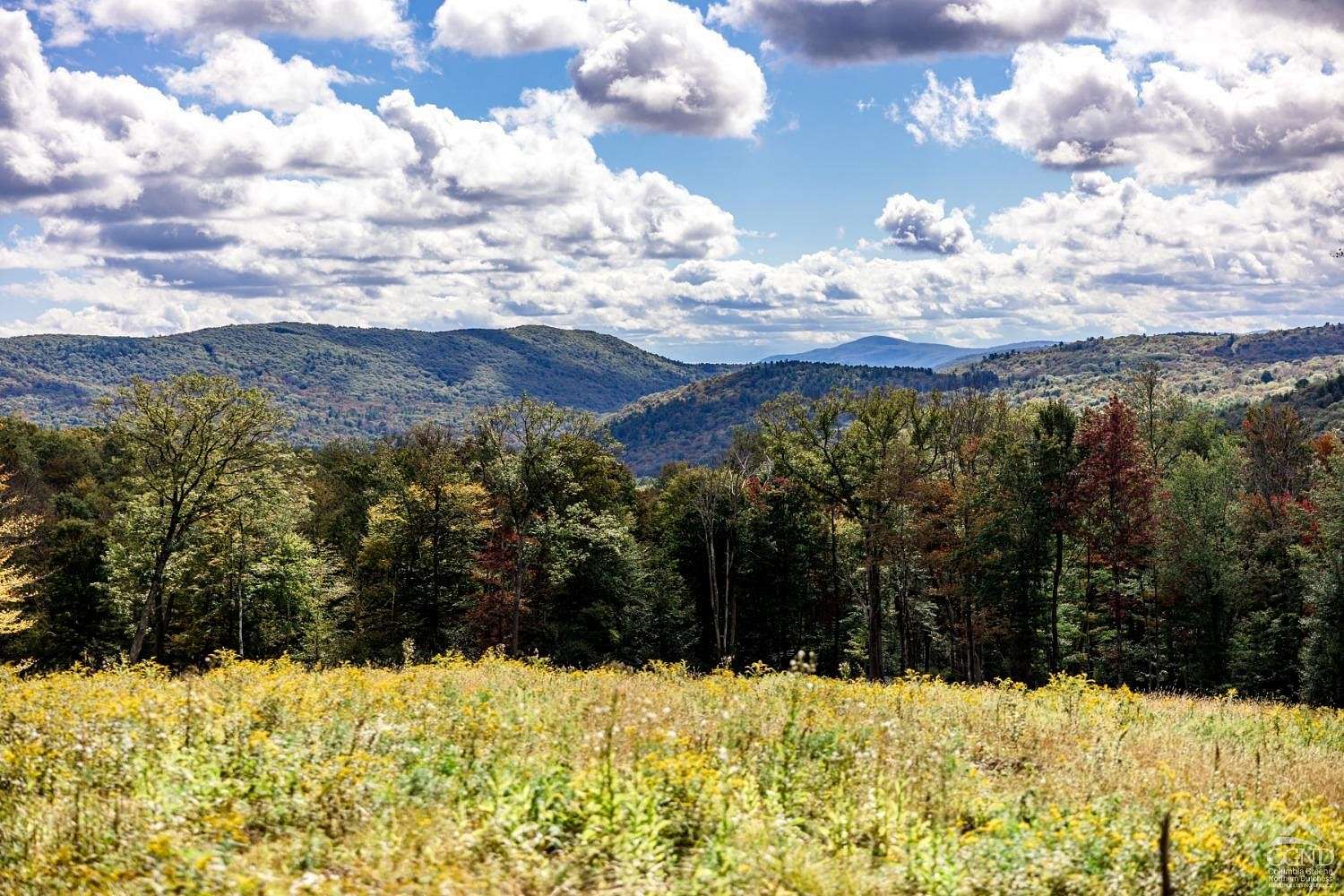 228 Acres of Land for Sale in Austerlitz, New York