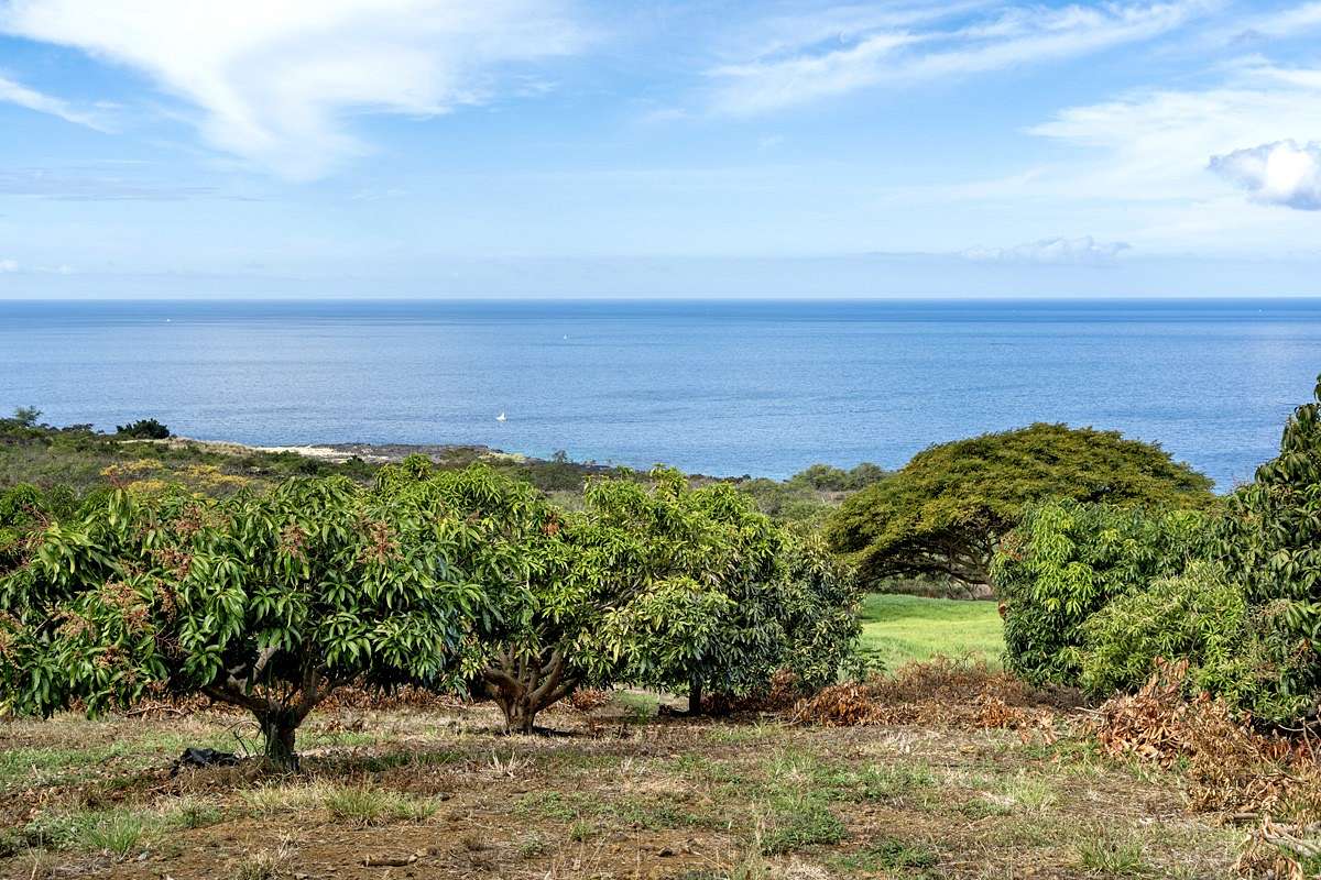 1.6 Acres of Residential Land for Sale in Kealakekua, Hawaii