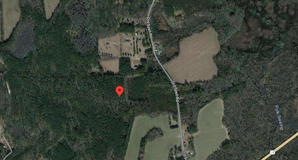 50.3 Acres of Land for Sale in St. George, South Carolina