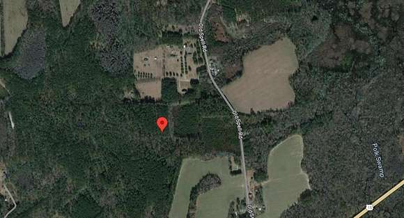 50.31 Acres of Land for Sale in St. George, South Carolina